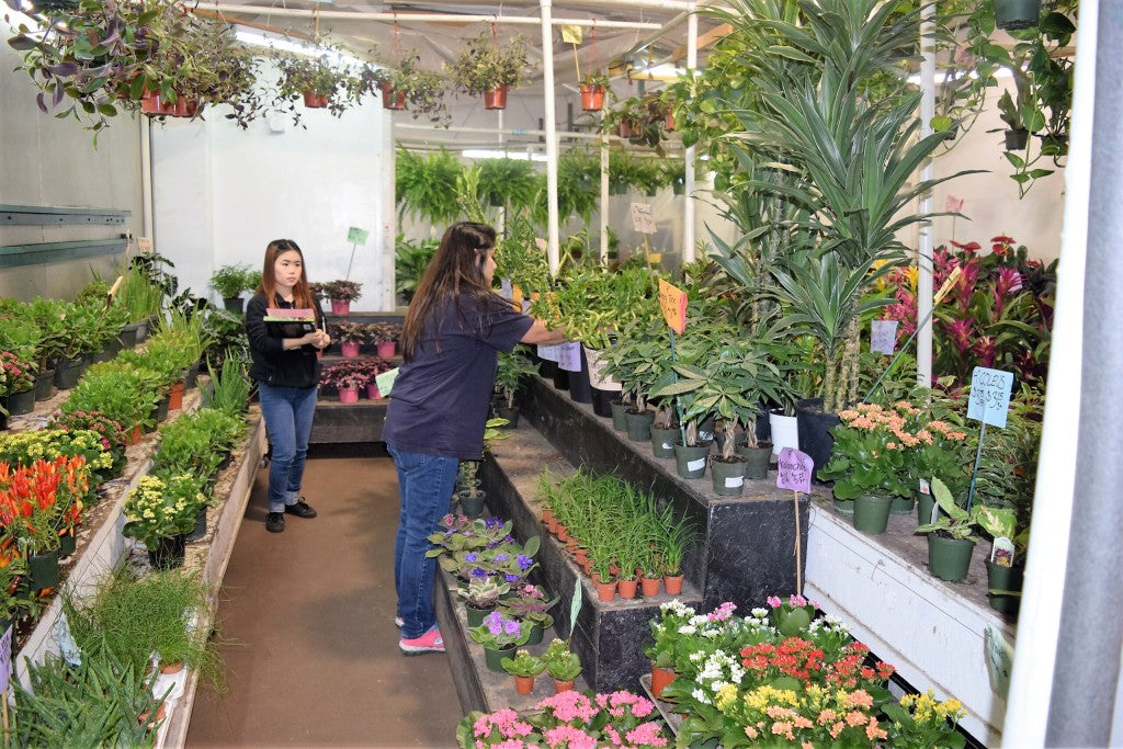 A Day in the Life of a Wholesale Flower Distributor