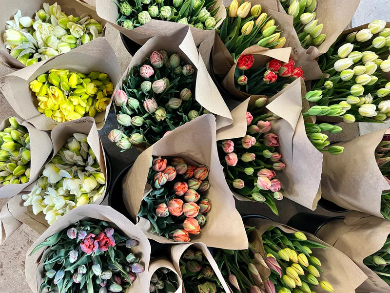 Seasonal Wholesale Flowers: What’s in Bloom and When to Buy