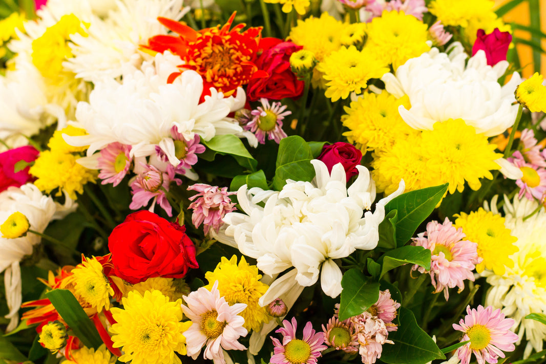 Top 10 Flower Varieties to Buy in Bulk for Any Occasion